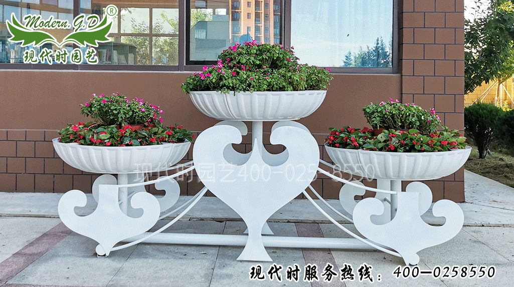 �������L(f��ng) ��̖(h��o)��G-19